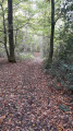 Circuit des contrebandiers à Ohain Circuit des contrebandiers à Ohain