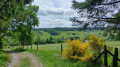 Splendide campagne Splendide campagne