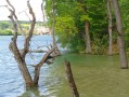 Sur la rive Suisse Sur la rive Suisse