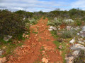Sur le chemin vers le Miradouro Norte Sur le chemin vers le Miradouro Norte