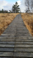 sur les caillebottis sur les caillebottis