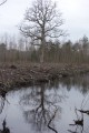 Le Cul d’Enfer, une boucle en Sologne Le Cul d’Enfer, une boucle en Sologne