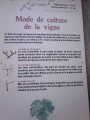 Sentier Viticole de l'AOC Châteauneuf-du-Pape Sentier Viticole de l'AOC Châteauneuf-du-Pape