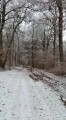 Petite boucle au Tannenwald Petite boucle au Tannenwald