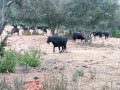 Sur la trace des Romains Sur la trace des Romains