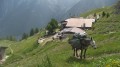 Refuge Maison Vieille - Refuge Bertone Refuge Maison Vieille - Refuge Bertone