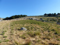 Transhumance 1 Transhumance 1