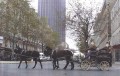 Transport du futur ? Transport du futur ?