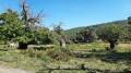 Les Menhirs du Plateau Lambert depuis la Croix d'Anselme Les Menhirs du Plateau Lambert depuis la Croix d'Anselme