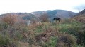 La Chapelle la Capelette à Dourgne La Chapelle la Capelette à Dourgne