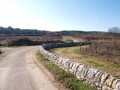 Un chemin avec ses murs en pierre Un chemin avec ses murs en pierre