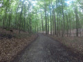 Forêt de Soignes de Tervuren à Boondael Forêt de Soignes de Tervuren à Boondael