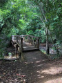 Sentier du Rorota - Rémire Sentier du Rorota - Rémire