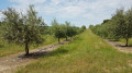 En pays d'Aigues : de Grambois à La Bastide-des-Jourdans En pays d'Aigues : de Grambois à La Bastide-des-Jourdans