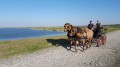 De Woignarue au hâble d'Ault De Woignarue au hâble d'Ault