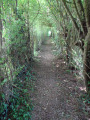 Par les caches à Frasnoy Par les caches à Frasnoy