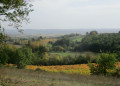 Lisle-sur-Tarn - La Toscane lisloise Lisle-sur-Tarn - La Toscane lisloise