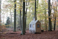 Boucle dans le Bois de Gesves Boucle dans le Bois de Gesves