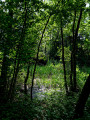 Vallée de l'Orneau Vallée de l'Orneau