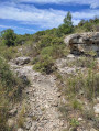 Garrigues la Madeleine, Gardiole de Mireval avec ses monts et sa vallée Garrigues la Madeleine, Gardiole de Mireval avec ses monts et sa vallée