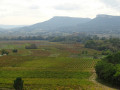 Dent de Marcoule et Château de Gicon Dent de Marcoule et Château de Gicon