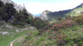 La Grande Sure par les cols de la Vache La Grande Sure par les cols de la Vache