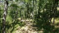 Vallon de la Sine Vallon de la Sine