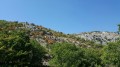 Vallon de la Sine Vallon de la Sine