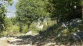 Vallon de la Sine Vallon de la Sine