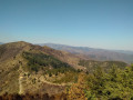 Vers l'Aigoual Vers l'Aigoual