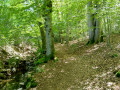 Vers l'ancien l'hippodrome Vers l'ancien l'hippodrome