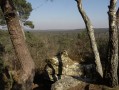 Un grand tour de l'Est de la Forêt de Fontainebleau Un grand tour de l'Est de la Forêt de Fontainebleau