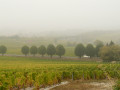 Viaduc dans la brume Viaduc dans la brume