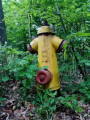 Vieille bouche d'incendie Vieille bouche d'incendie