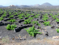 Vignoble de la Géria Vignoble de la Géria