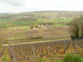Entre Marne et vignes, au Mont-Saint-Père et sur le Coteau des Orchidées Entre Marne et vignes, au Mont-Saint-Père et sur le Coteau des Orchidées