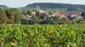 Petite boucle de Mercurey Petite boucle de Mercurey