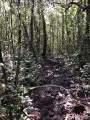 Visuel de l'environnement Visuel de l'environnement