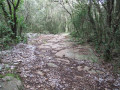 Boucle d'Aigues-Vives par le Chemin de la Bouissonade (Route Romaine) Boucle d'Aigues-Vives par le Chemin de la Bouissonade (Route Romaine)