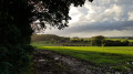 Vue au coin de l'Avenue du Bois Vue au coin de l'Avenue du Bois