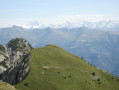 Le Golzentipp par Gripp Le Golzentipp par Gripp