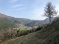 Les sentiers non cartographiés des crêtes boisées du Haut-Estéron Les sentiers non cartographiés des crêtes boisées du Haut-Estéron