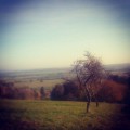 Tivauche le Haut par les vignobles de l'Auxois Tivauche le Haut par les vignobles de l'Auxois
