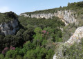 Vue des falaises Vue des falaises