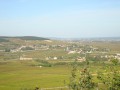 À la découverte des vignobles, épisode 2. À la découverte des vignobles, épisode 2.