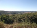 Vigne et vallée depuis Rully Vigne et vallée depuis Rully
