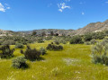 Désert de Tabernas Désert de Tabernas