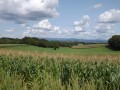Vue sur la Forêt Noire Vue sur la Forêt Noire