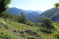 Saint-Jean du Désert depuis le Plan Saint-Jean du Désert depuis le Plan