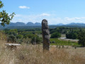 Pays de Grignan - Les truffières et les vignobles Pays de Grignan - Les truffières et les vignobles